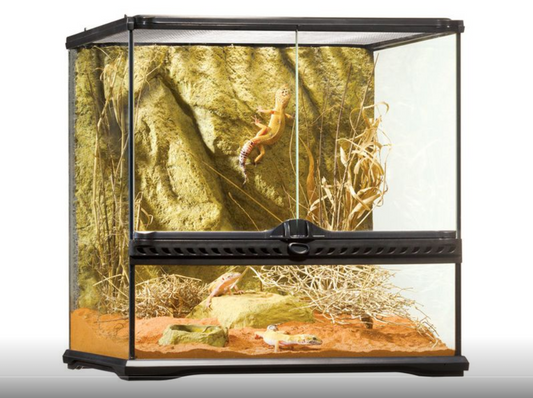 EXO TERRA ALL GLASS VIVARIUM 45X45X45CM