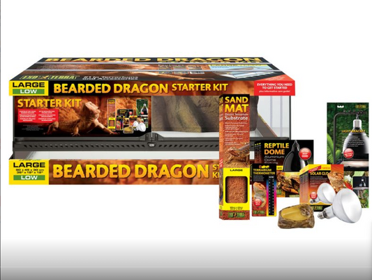 EXO TERRA BEARDED DRAGON STARTER KIT