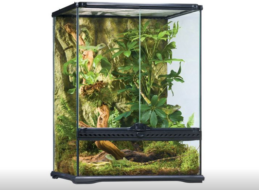 EXO TERRA ALL GLASS VIVARIUM 45X45X60CM